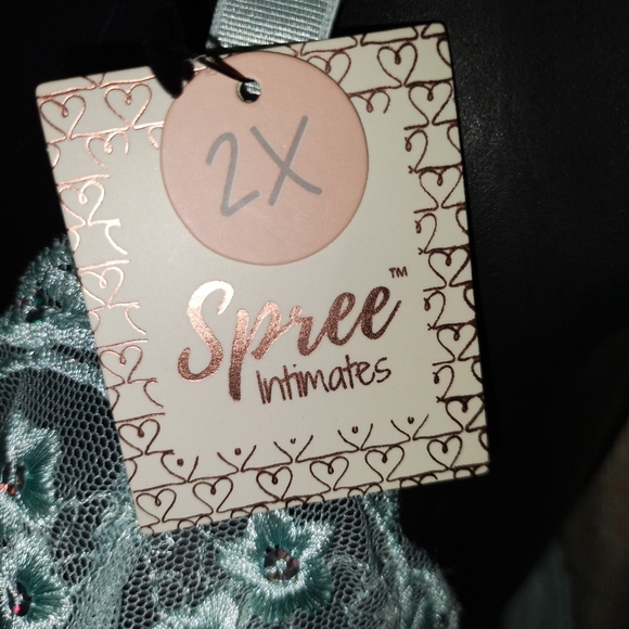 Lingerie - Picture 3 of 5